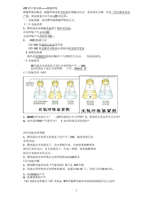 光合作用和呼吸作用知识点总结