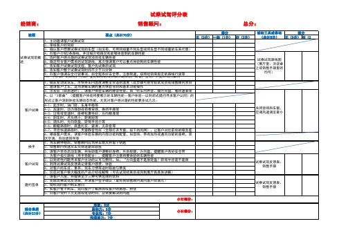 试乘试驾评分表3