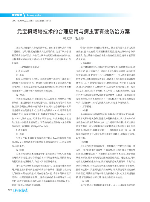 元宝枫栽培技术的合理应用与病虫害有效防治方案