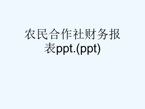 农民合作社财务报表ppt.(ppt)