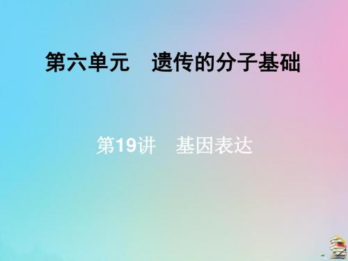 2020届高三生物一轮复习第六单元第19讲基因的表达课件新人教版