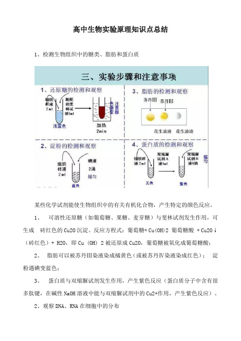 高中生物实验原理知识点总结