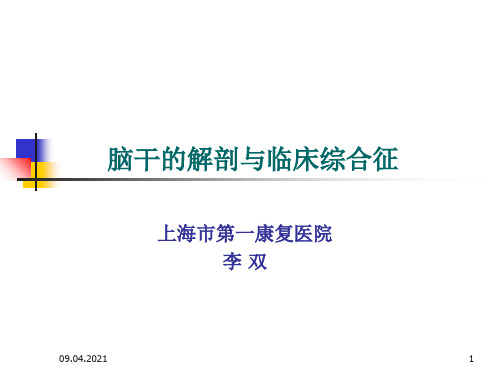 脑干的解剖及临床综合征-文档资料