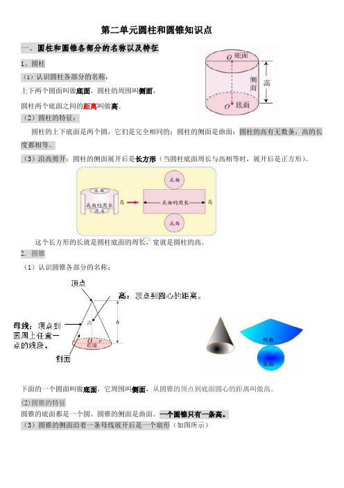 (背诵)圆柱和圆锥知识点归纳总结