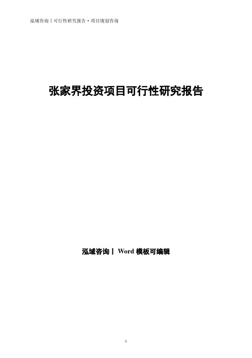 张家界投资项目可行性研究报告