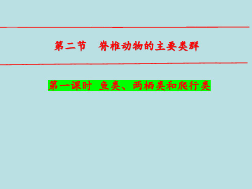 第二节脊椎动物的主要类群第一课时课件济南版生物七年级上册