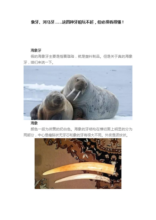 象牙、河马牙……这四种牙咱玩不起，但必须看得懂！