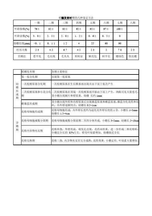 水稻穗分化