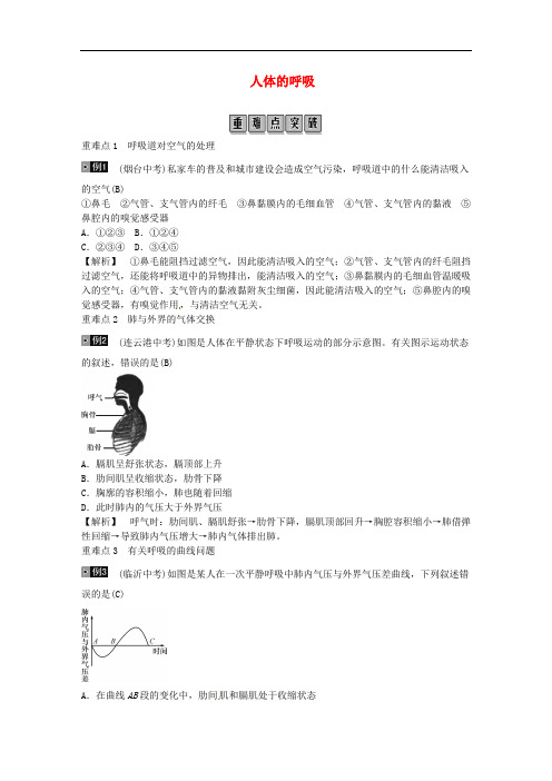 2020年中考生物总复习：人体的呼吸 考点及试题解析