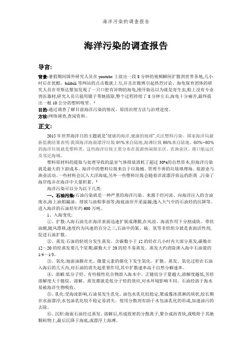 海洋污染的调查报告