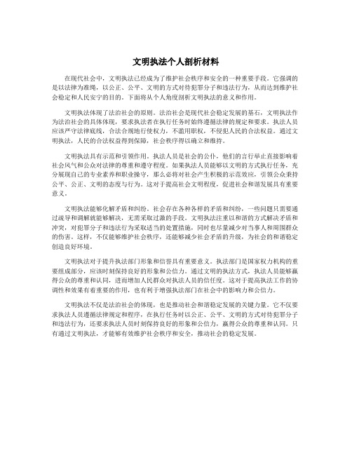 文明执法个人剖析材料