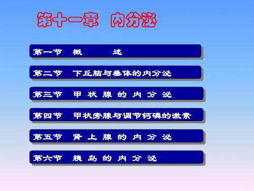 人体及动物生理学内分泌系统ppt课件