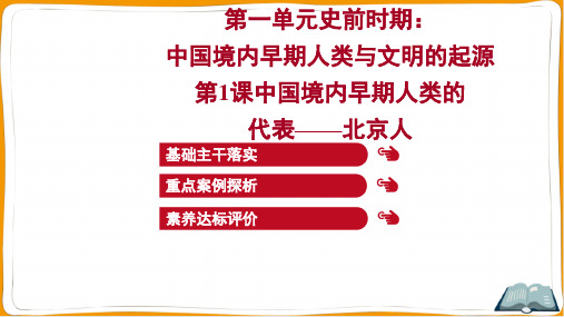 2022年部编版七年级上册历史第一单元 第1课中国境内早期人类的代表——北京人