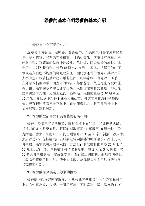 绿萝的基本介绍绿萝的基本介绍