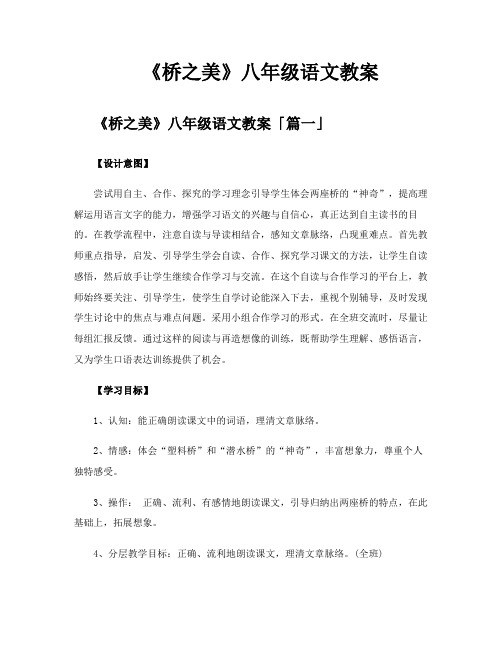 《桥之美》八年级语文教案