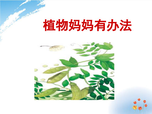 部编版新教材二年级语文上册第3 课植物妈妈有办法 公开课课件