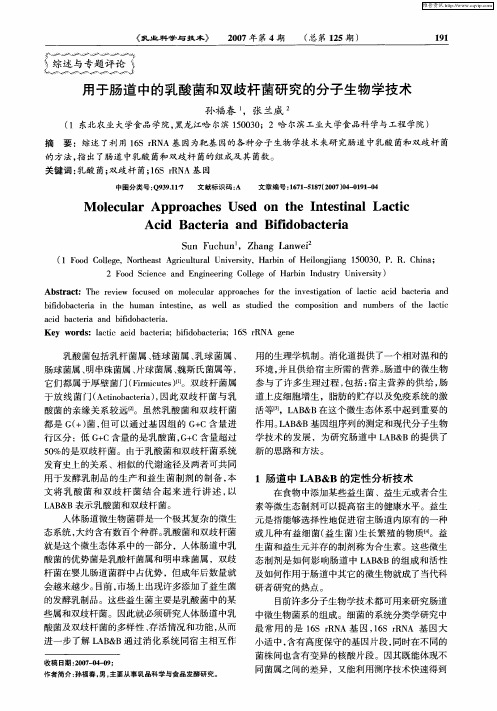 用于肠道中的乳酸菌和双歧杆菌研究的分子生物学技术