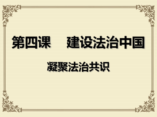 人教版道德与法治九年级上册4.2凝聚法治共识课件 (共22张PPT)