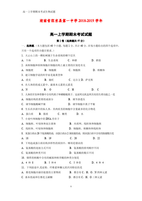 2018-2019学年湖南省邵东县第一中学高一上学期期末考试生物试题