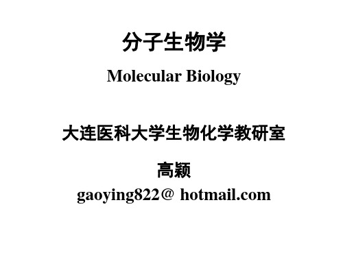 核苷酸与核酸