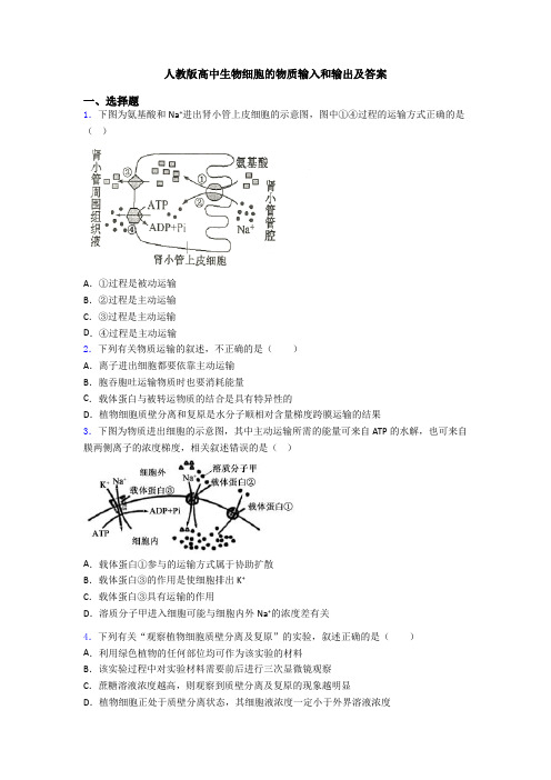 人教版高中生物细胞的物质输入和输出及答案