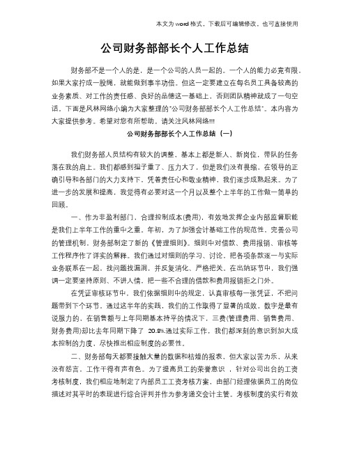 公司财务部部长个人工作总结