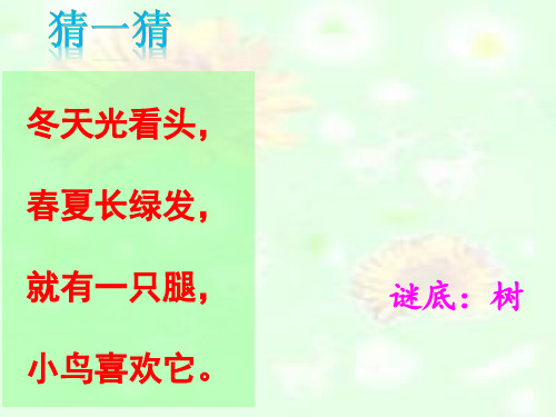 《树之歌》PPT课件