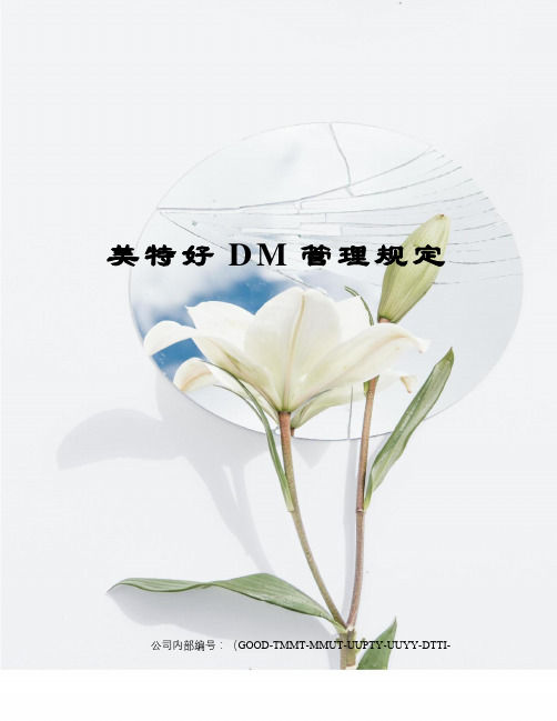 美特好DM管理规定