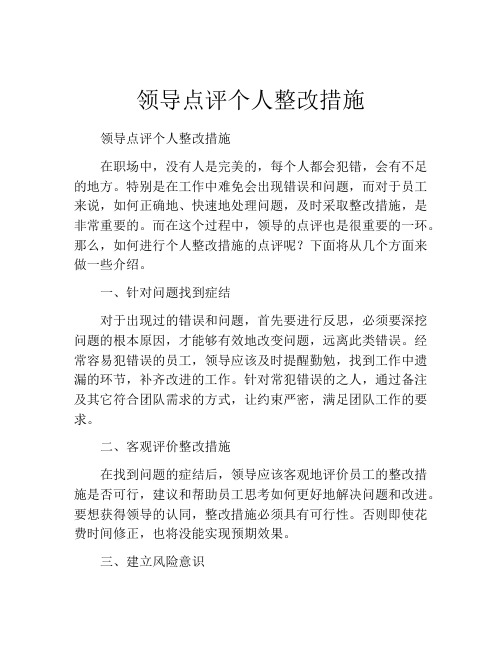 领导点评个人整改措施