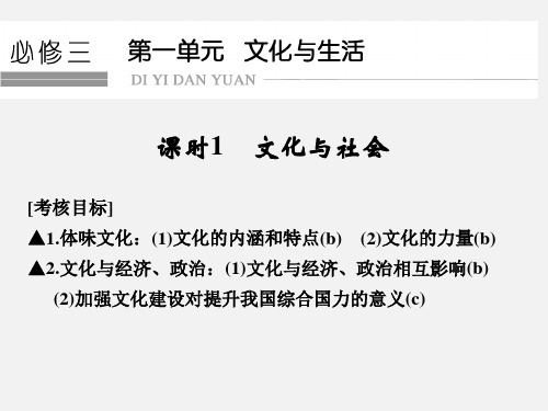 高考政治 一轮复习 文化与生活 1 文化与社会课件 新人教版必修3