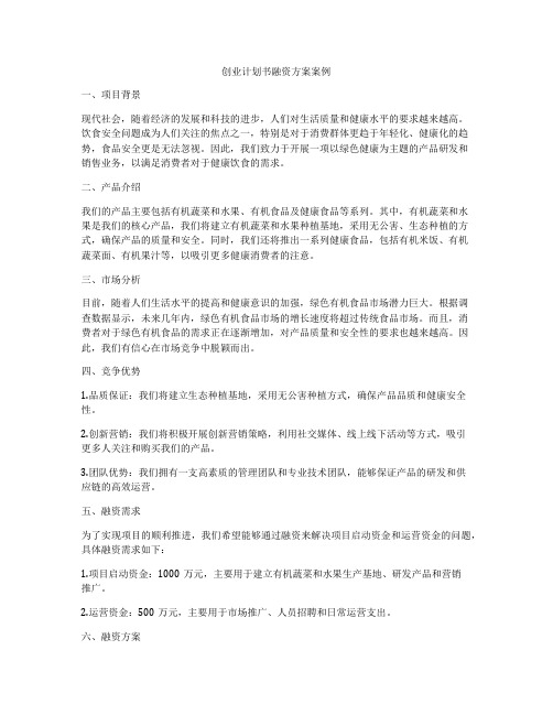 创业计划书融资方案案例