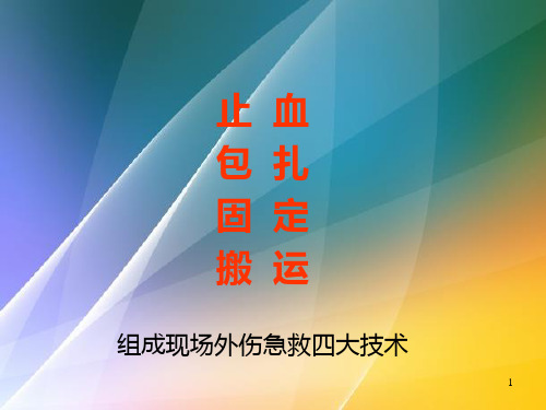 外伤急救四大技术