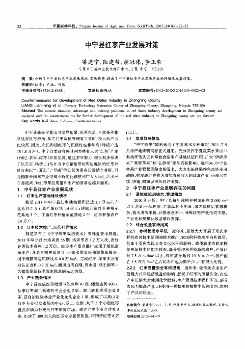中宁县红枣产业发展对策