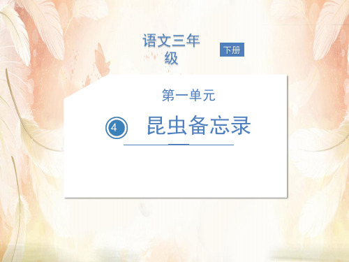 三年级下册语文课件 - 4 昆虫备忘录 人教部编版(共19张PPT)
