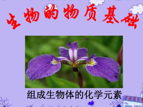 高三生物 生命的物质基础 ppt