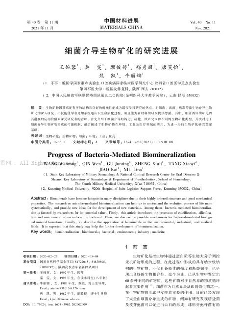 细菌介导生物矿化的研究进展