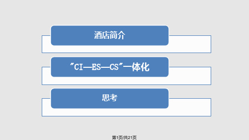 酒店管理CIS分析案例PPT课件