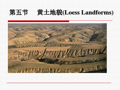 第五节黄土地貌