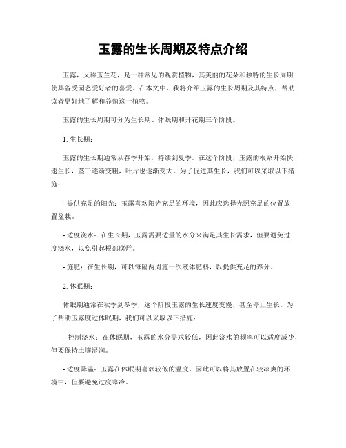 玉露的生长周期及特点介绍