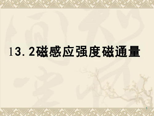 人教版高二物理必修第三册磁感应强度磁通课件