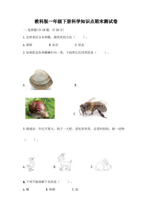 教科版一年级下册科学知识点期末测试卷附参考答案(夺分金卷)