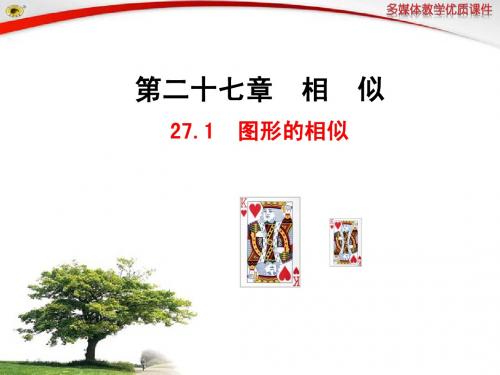27.1 图形的相似