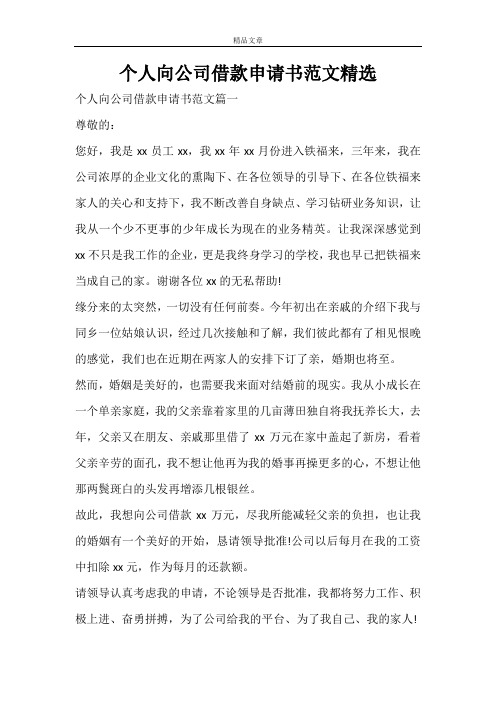 个人向公司借款申请书范文精选