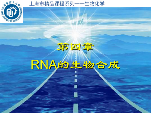 RNA的生物合成