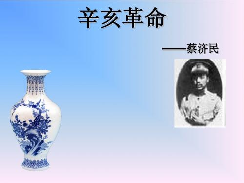 辛亥革命-蔡济民