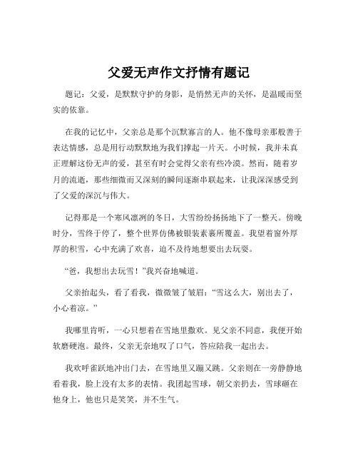 父爱无声作文抒情有题记