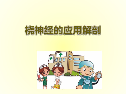 桡神经的应用解剖医学PPT课件