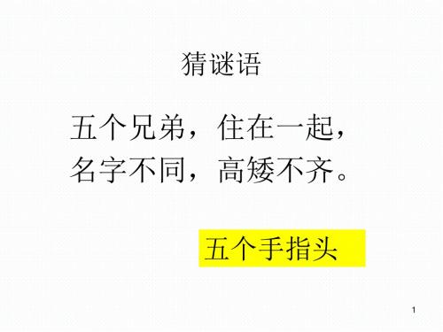 2019春新苏教版六年级语文下册17.山谷中的谜底   公开课课件