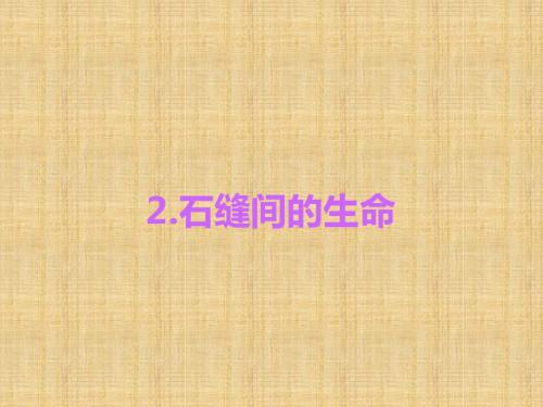 2016《练闯考》九年级语文下册(语文版)第1单元习题课件2.石缝间的生命汇编