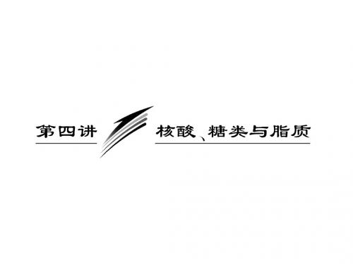 必修1第一单元第四讲核酸、糖类与脂质